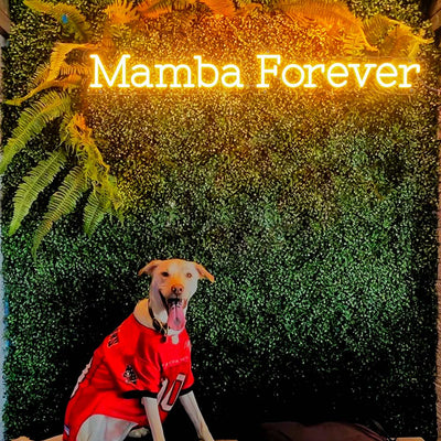 Mamba Forever Neon Sign