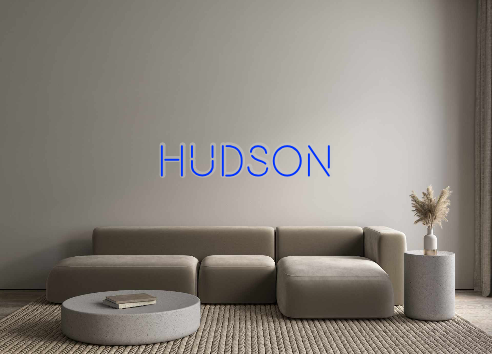 Custom Neon: Hudson