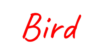 Custom Neon: Bird